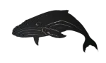 A 21-inch laser-cut, black-painted steel wall art piece featuring a diving humpback whale with detailed cut-outs of fins and tail, set with no background.